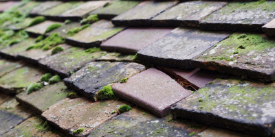 Pontcanna roof repair costs